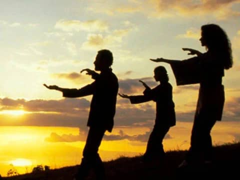 8 brokáttekercs Chi Kung (Qi Gong)