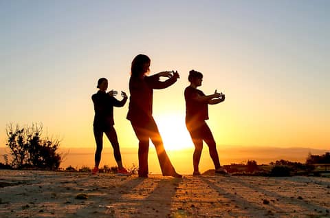 Főnix Bagua Chi Kung (Qi Gong)